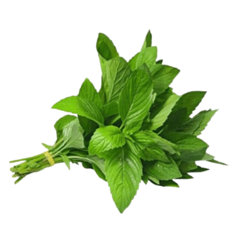 نعناع ورق ربطة